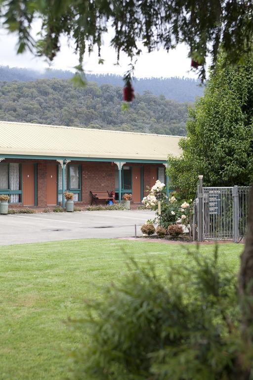 Snowgum Motel Mount Beauty Esterno foto