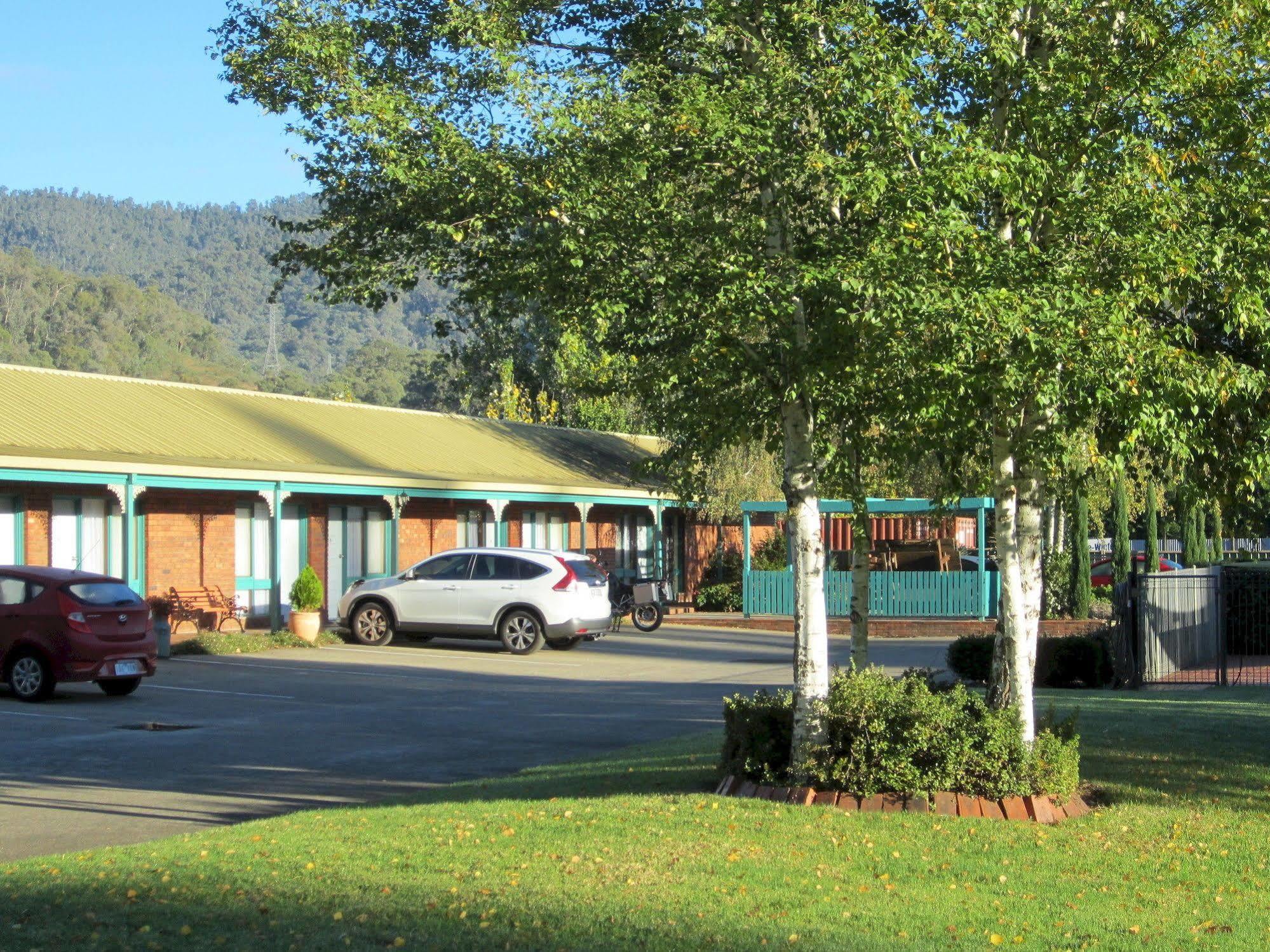 Snowgum Motel Mount Beauty Esterno foto