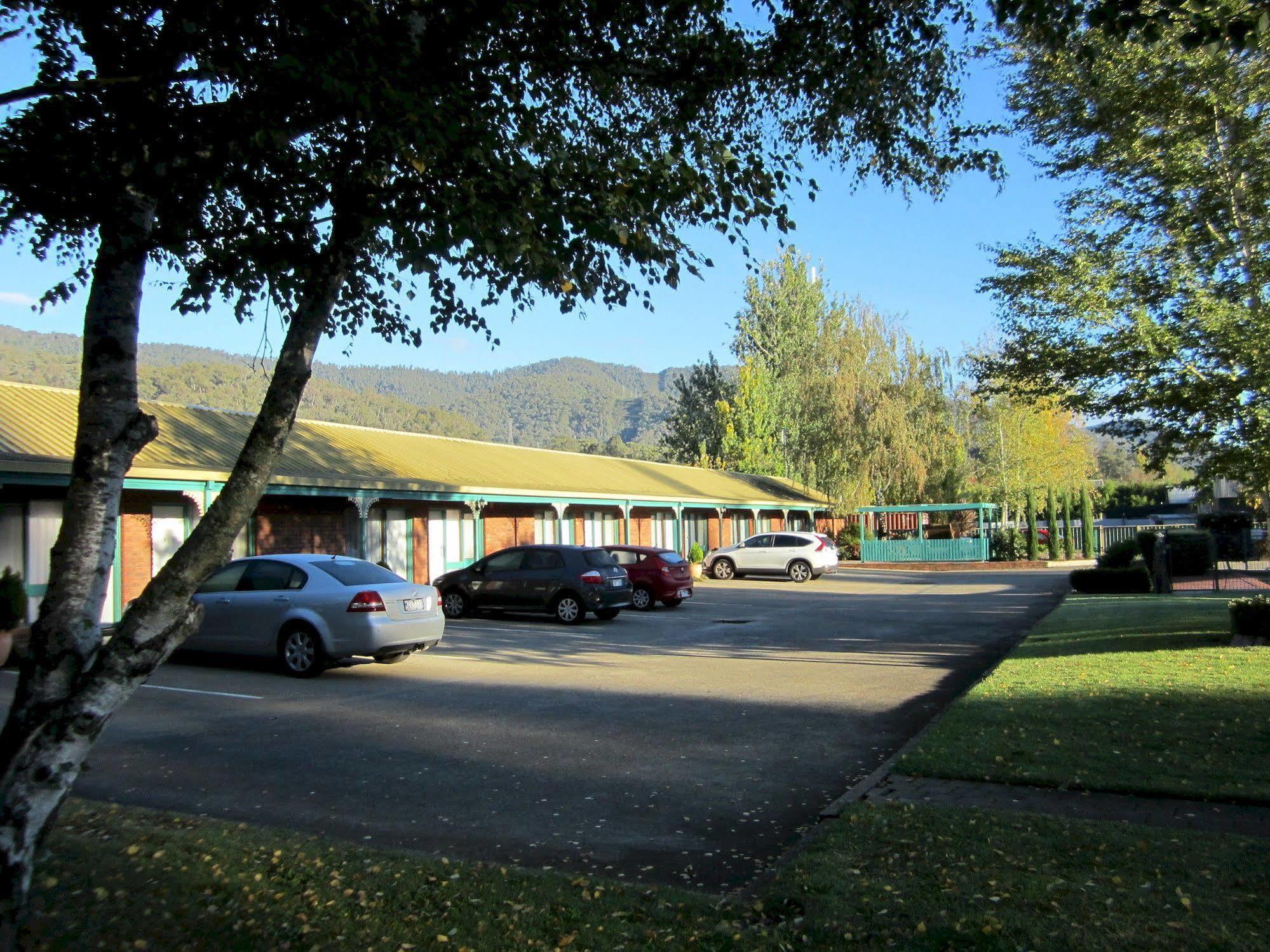 Snowgum Motel Mount Beauty Esterno foto